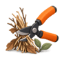 vegetation-removal